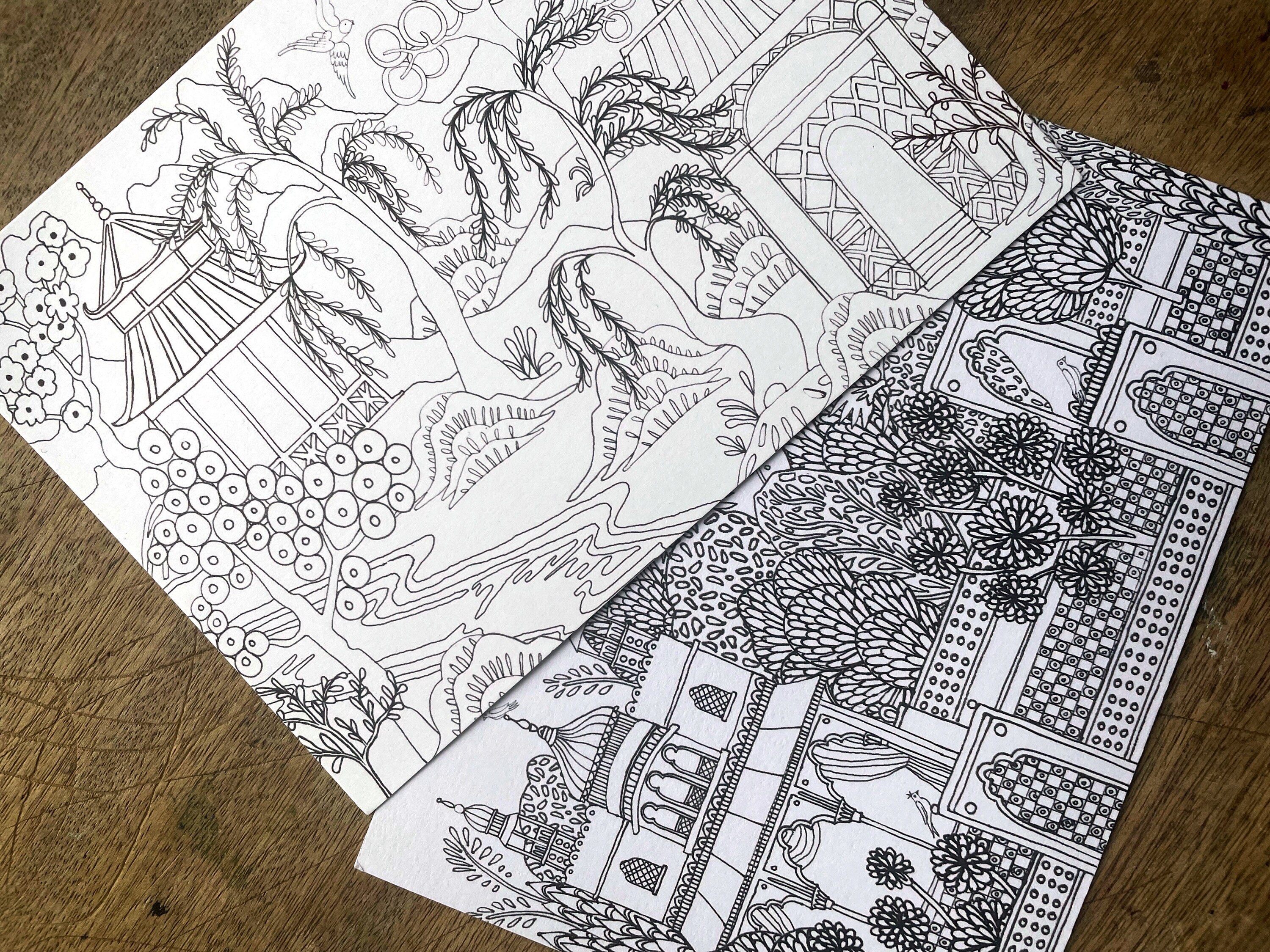 Colour in Postcards- Illustrated Postcards - Etsy