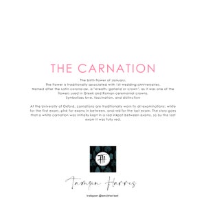 Carnation Card Birthday Flower card-january Birthday image 2