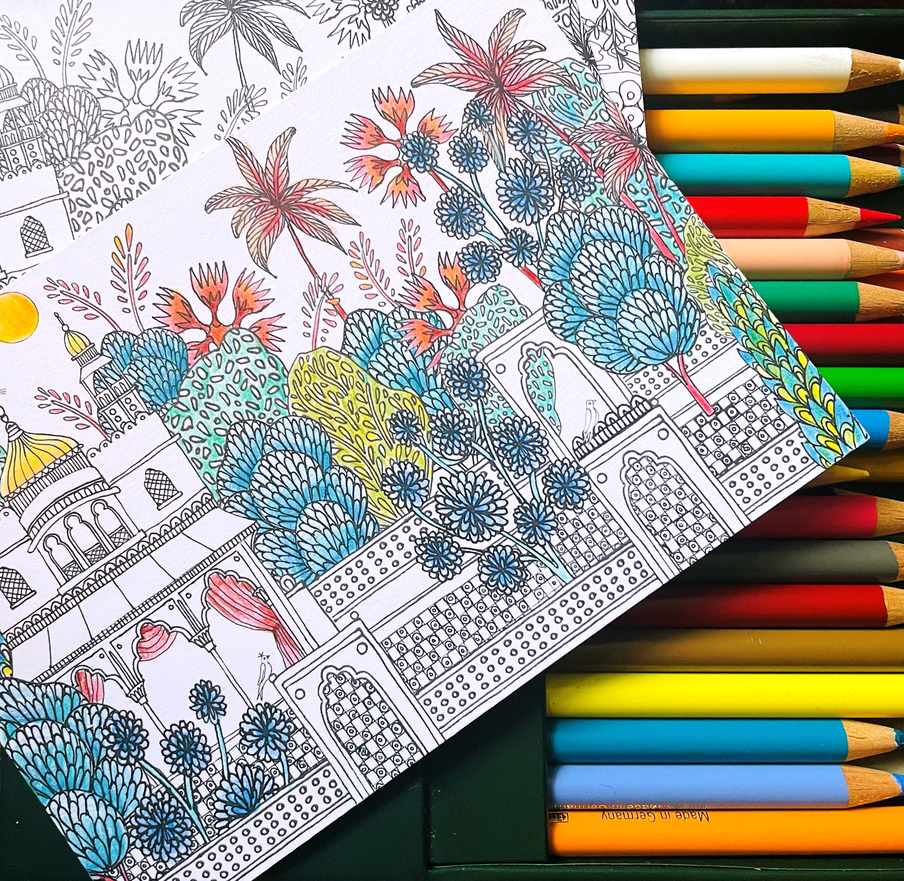 Colour in Postcards- Illustrated Postcards - Etsy