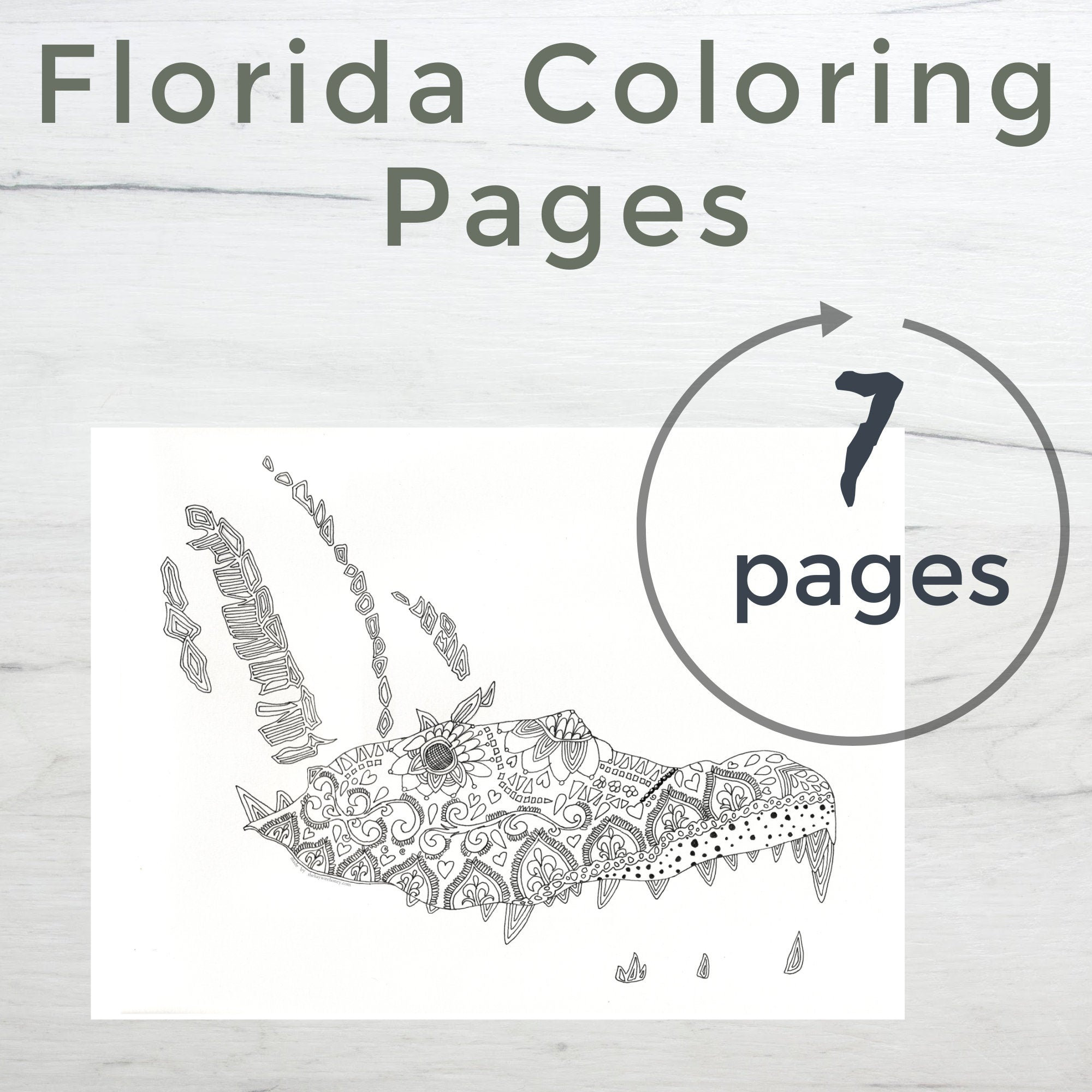 Printable art packet Florida Themed Coloring pages Digital | Etsy