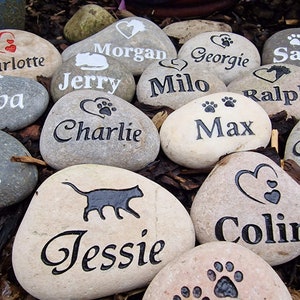 Op de afbeelding: Een verzameling beschilderde stenen met huisdiernamen en poot afdrukken. De namen zijn Charlotte, Fimba, Morgan, Georgie, Sasha, Jerry, Milo, Ralph, Charlie, Max, Jessie, Colin en Gra.