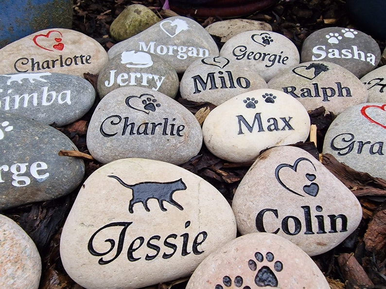 Op de afbeelding: Een verzameling beschilderde stenen met huisdiernamen en poot afdrukken. De namen zijn Charlotte, Fimba, Morgan, Georgie, Sasha, Jerry, Milo, Ralph, Charlie, Max, Jessie, Colin en Gra.