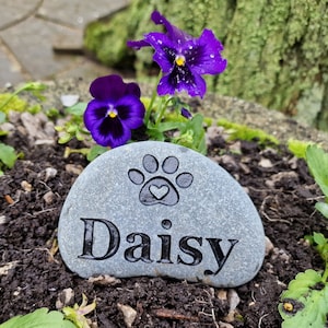 Op de afbeelding: Een grijze steen met een pootprint en het woord "Daisy" erop gegraveerd. De steen is omringd door paarse bloemen en groen gebladerte.