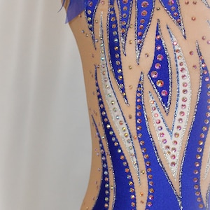 May include: A blue and teal leotard with a feathered design and rhinestones. The leotard has a sheer mesh bodice and a fitted skirt.