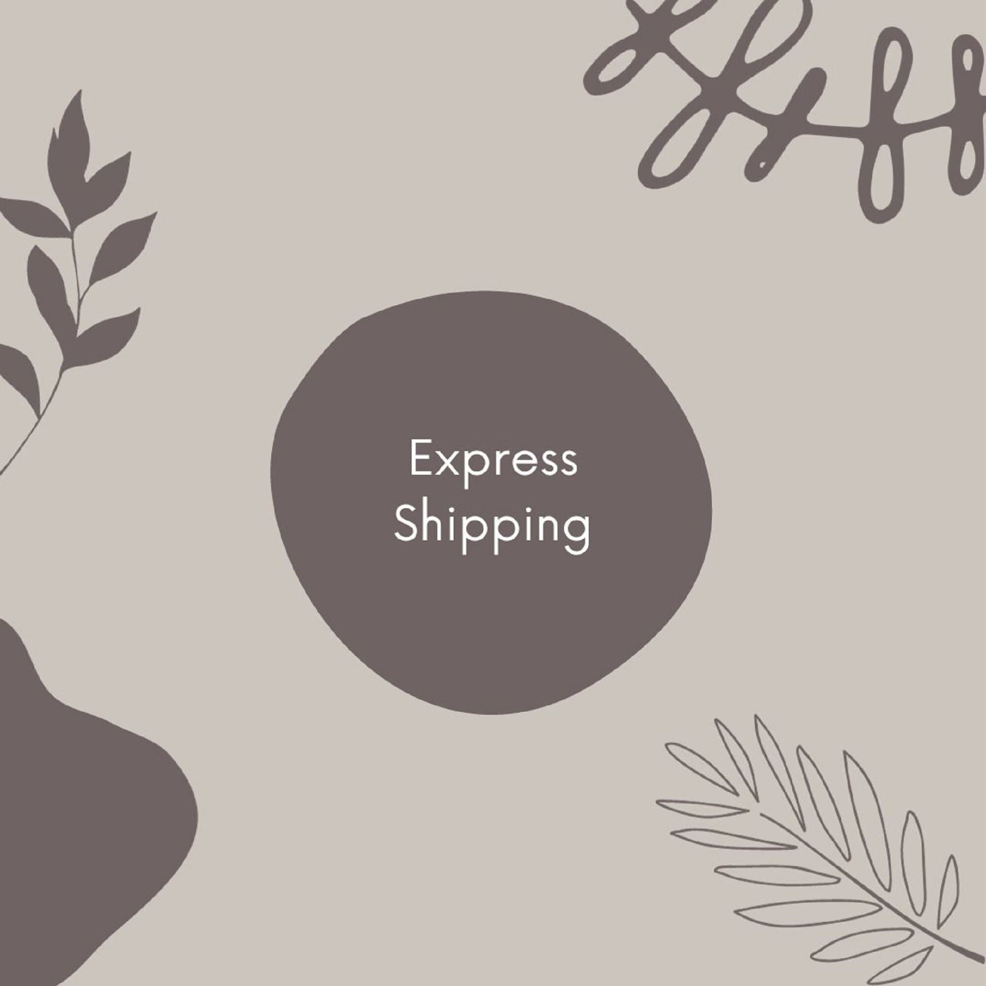 Express Shipping With Extensive Experiences And Cheap Delivery Rates.