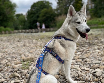 Padded Anti Escape Dog Harness, 3 strap houdini, Blue, Siberian Husky, Alaskan Malamute, Greyhound, Rescue Dog, Nervous Dog
