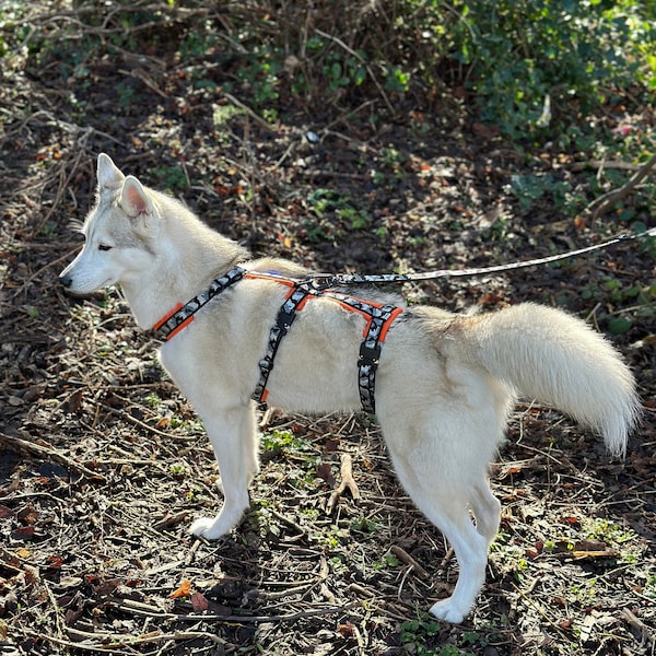 Tactical Escape Proof Dog Harness with Cobra Buckles, Adjustable Y-Harness, Anti-Escape for police dogs and working dogs