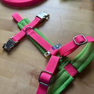 Custom Dog Harness Personalized Padded Dog Harness Made to Measure Siberian Husky Malamute Labrador Etsy