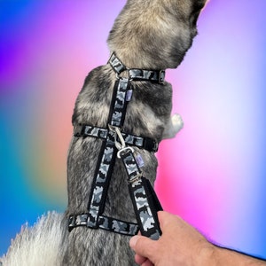 Dog harness anti escape black camouflage, padding for sighthound italian greyhound whippet dog Siberian husky