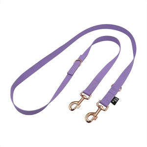 Double-Ended Dog Training Leash: Adjustable Dual-Clip Polypropylene Lead