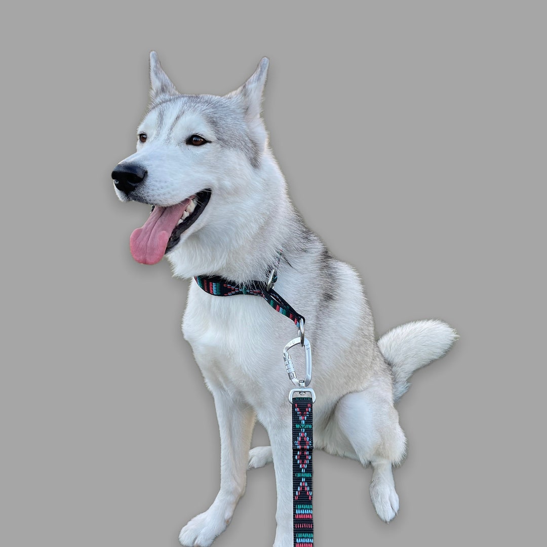 Slip on Dog Collar Martingale Collar Reflective Dog Collar Etsy