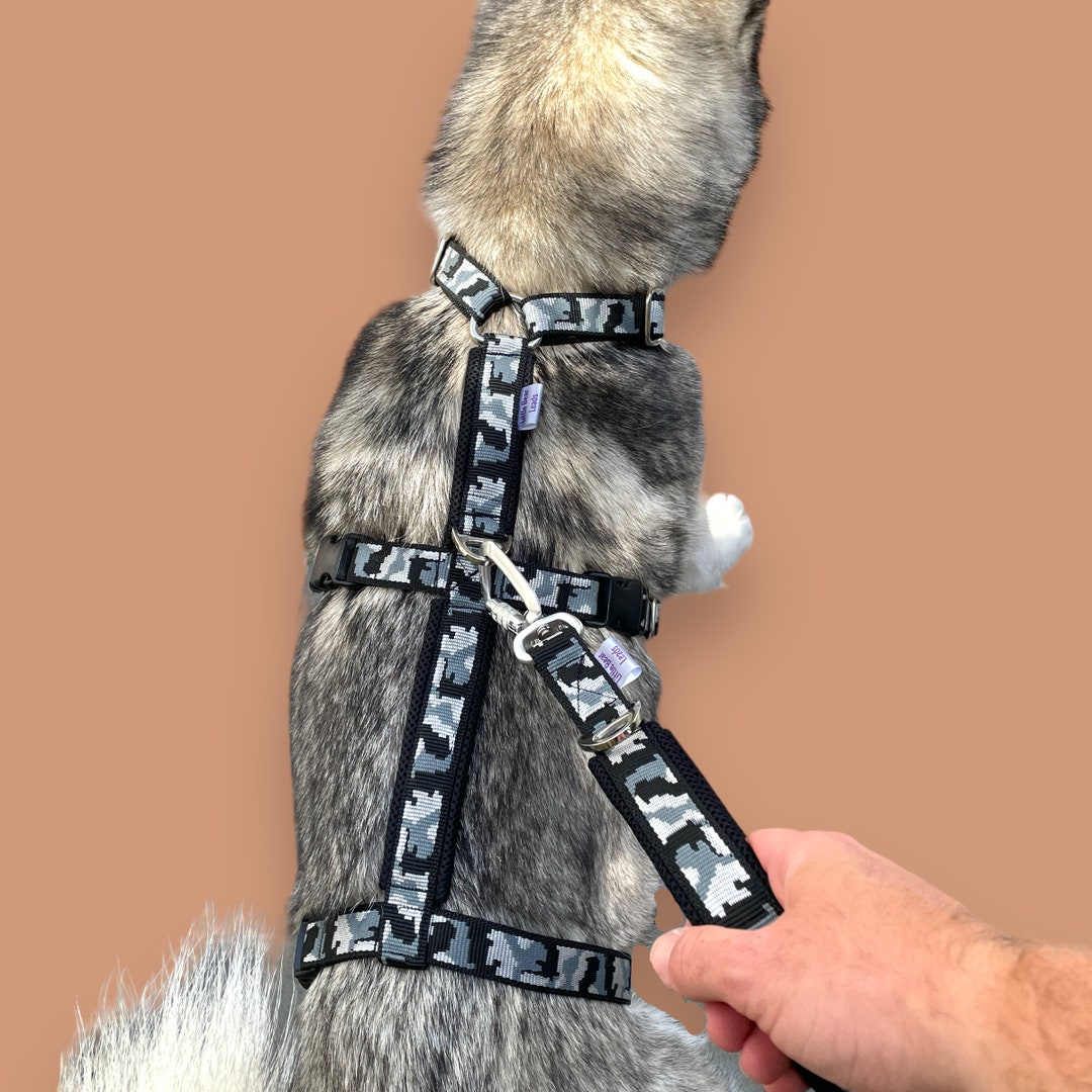 Buy Anti Escape Dog Harness, Padded Dog Harness, Siberian Husky Harness,  Italian Greyhound Harness, Whippet Harness, Sighthound Harness, Dog Online  in India 