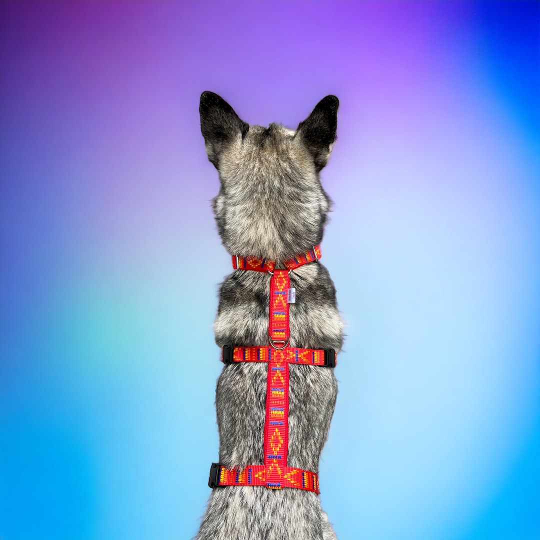 Red Anti Escape Dog Harness, Padded Dog Harness, Husky Harness, Dog