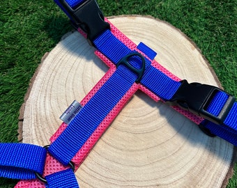Padded Blue Dog Harness, Comfortable Mesh Padding, Made to measure perfect fit