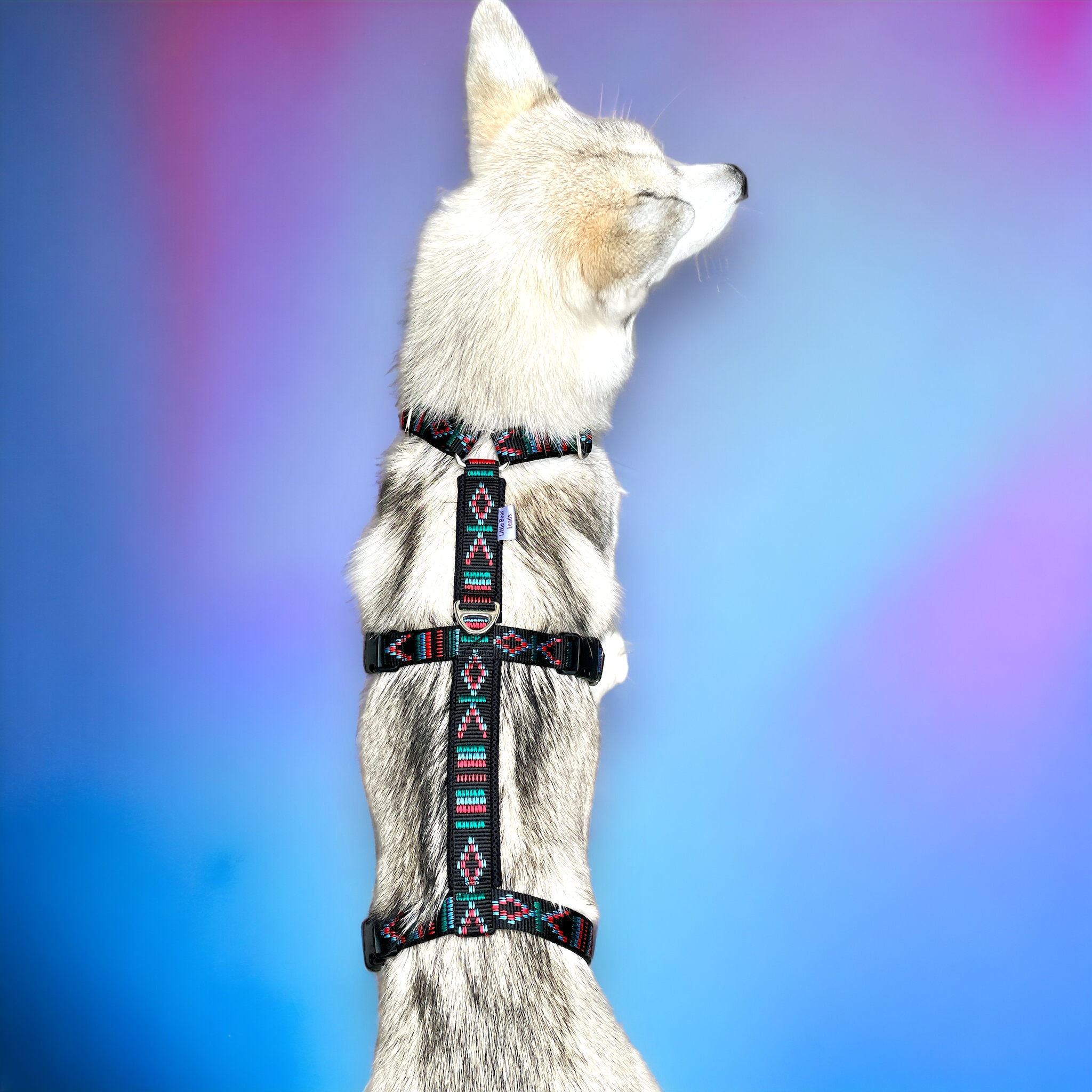 Harnais pour chien anti-évasion rembourré houdini à 3 - Etsy Canada