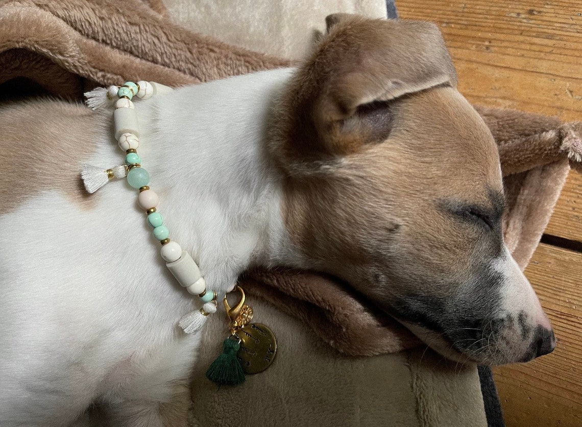 EM Keramik Kette für Hunde Halsband Anti Zecken Etsy