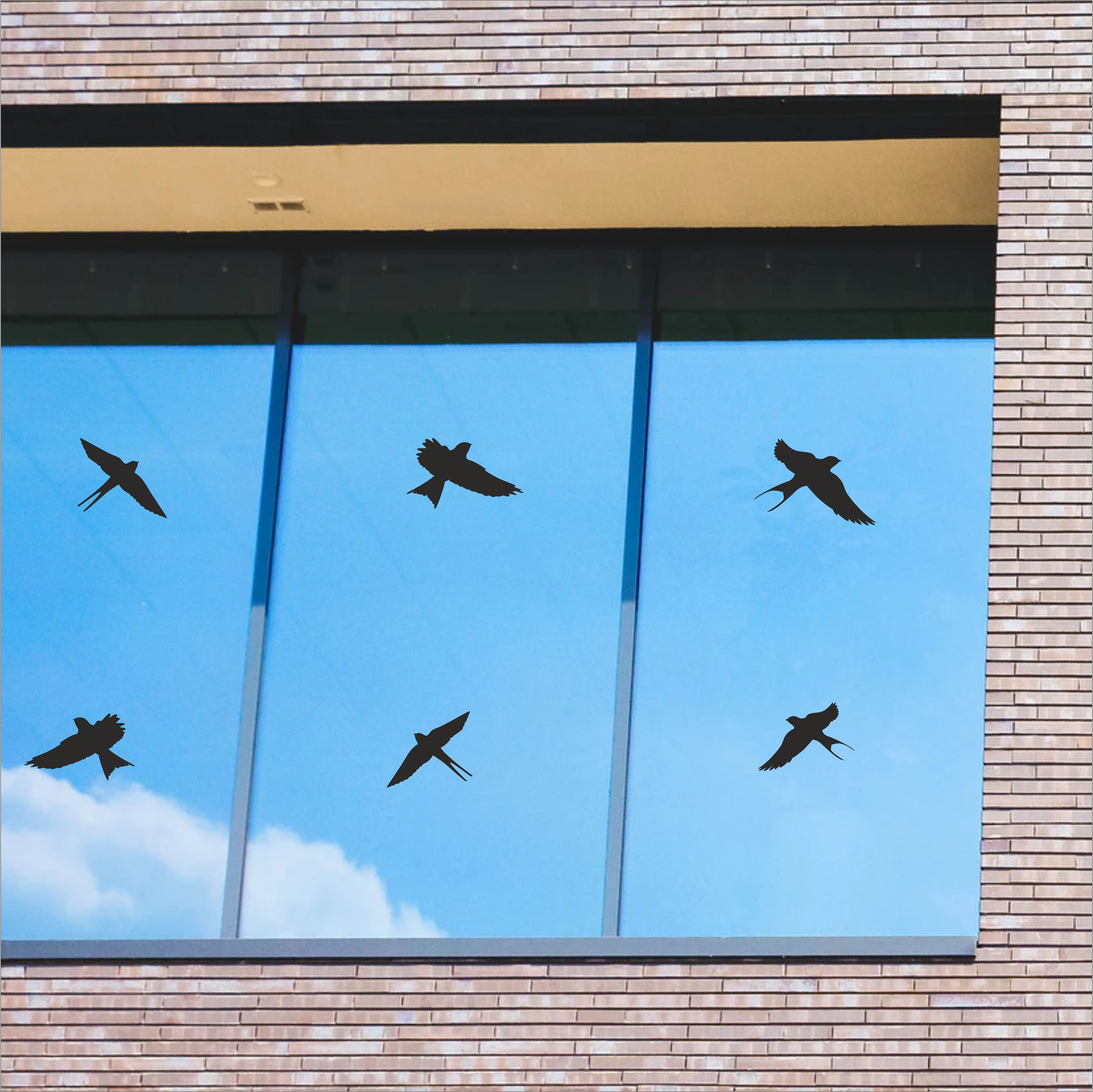 50% SALE 25er-Pack schwarze Vogelabwehr-Fensteraufkleber Anti-Kollisions- Aufkleber Sicherheitsglas-Schutz verhindert Vogelschlag 20 cm Größe -  .de