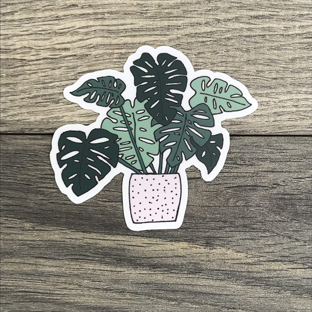 Monstera Sticker - Etsy