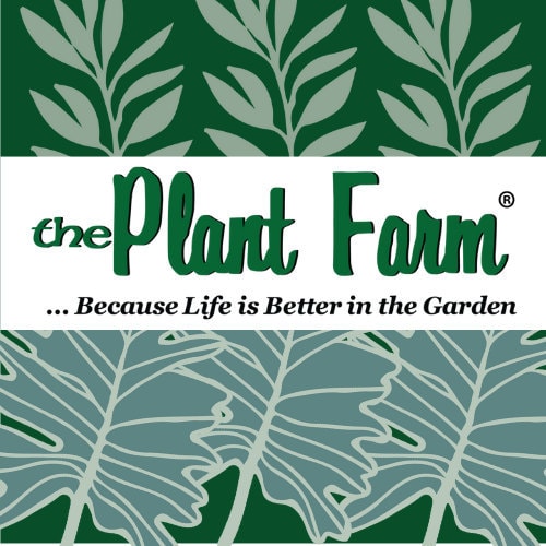 ThePlantFarmSpokane - Etsy