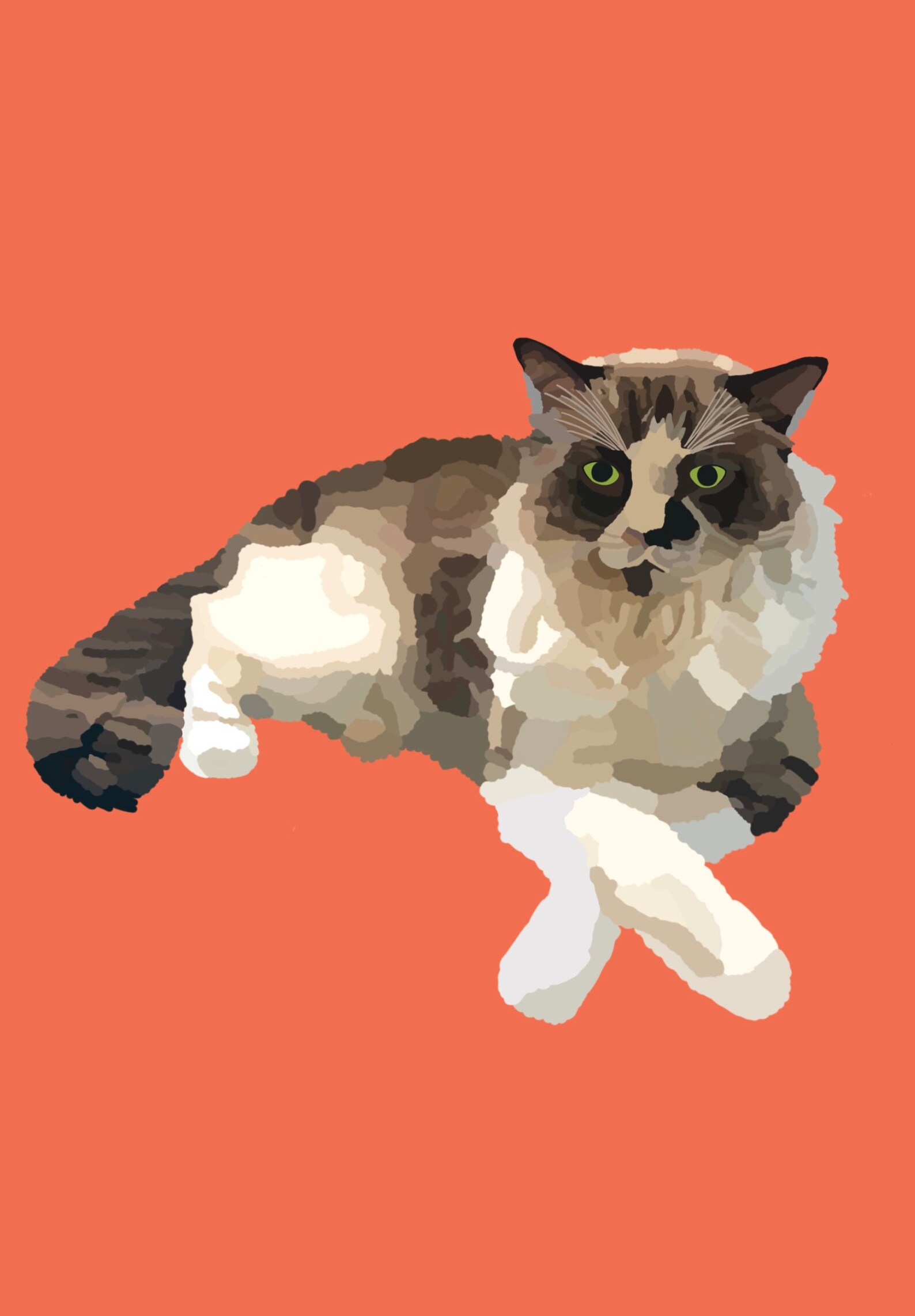 Personalised Cat Print - Etsy UK