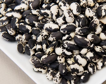 USA SELLER Orca Beans 25 seeds HEIRLOOM
