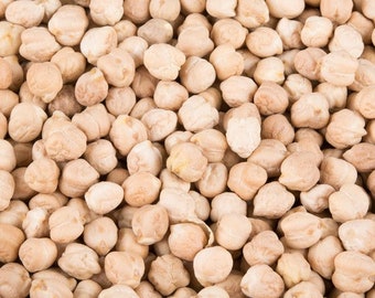 USA SELLER Garbanzo (Chickpea) Bean 25 seeds HEIRLOOM