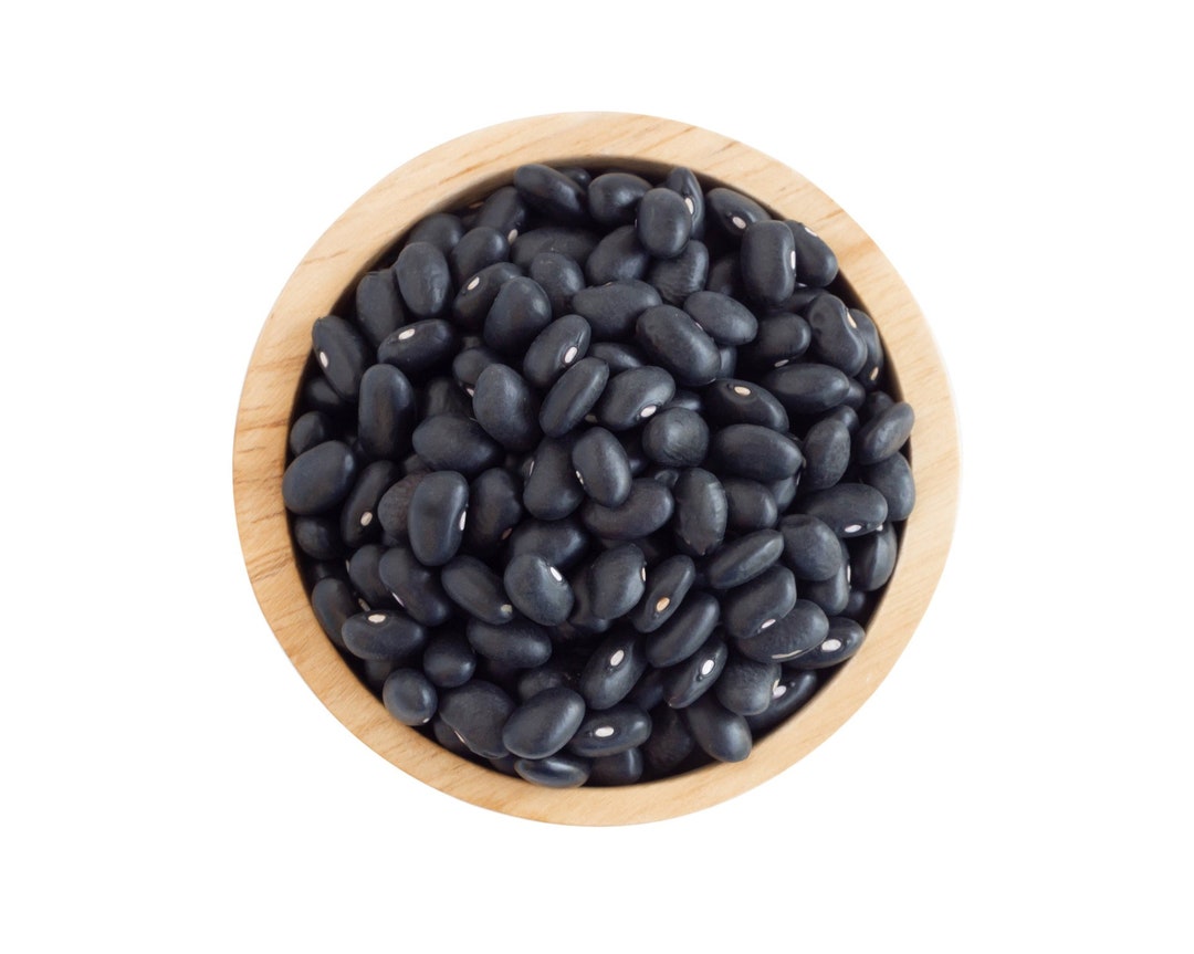 USA SELLER Black Turtle Bush Beans 25 Seeds HEIRLOOM Etsy