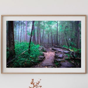 May include: A framed photograph of a path through a misty forest. The path is made of stone and leads to a clearing in the woods. The trees are tall and green, and the air is filled with mist.