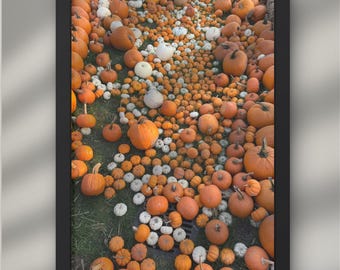 Fotografía de decoración de otoño: descarga digital