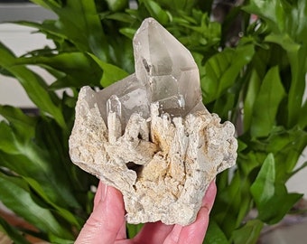 May include: A clear quartz crystal cluster with multiple points, embedded in a rough, gray and brown matrix. The crystal is translucent and has a natural, raw appearance.
