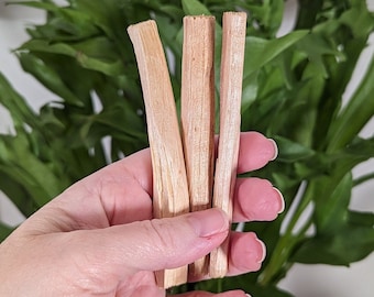 Natural Palo Santo Incense Stick