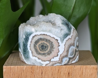 Old Stock Ocean Jasper Core: Druzy Quartz Madagascar