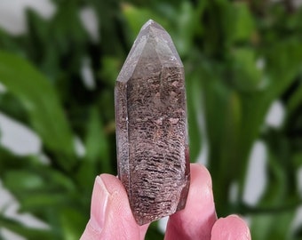 Thousand Layer Smoky Quartz Point: Lodolite Garden Quartz Crystal