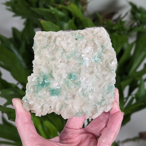 Glassy Green Apophyllite Flowers on White Stilbite, Green Apophyllite on Zeolite