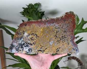 10.5" Ocean Jasper Display Slab with Stand: Madagascar Sea Jasper