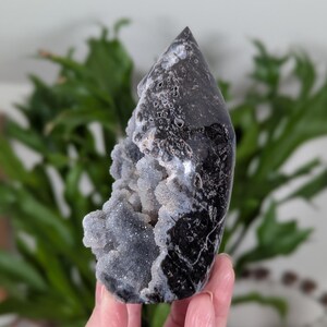 May include: A black and white agate geode with a crystal point on top. The geode is partially open, revealing a white and gray crystal interior.