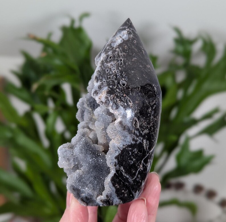 May include: A black and white agate geode with a crystal point on top. The geode is partially open, revealing a white and gray crystal interior.