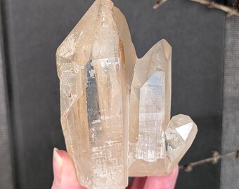 Clear Quartz Iron Oxide Cluster: Madagascar Display Crystal, 3.49"