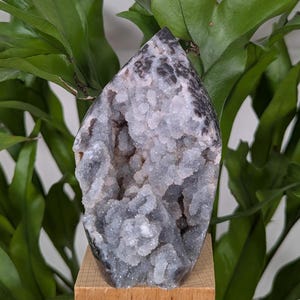 May include: A white and grey agate crystal with a druzy finish. The crystal is shaped like a point and is sitting on a wooden base.
