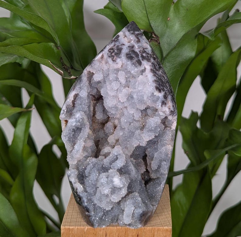 May include: A white and grey agate crystal with a druzy finish. The crystal is shaped like a point and is sitting on a wooden base.