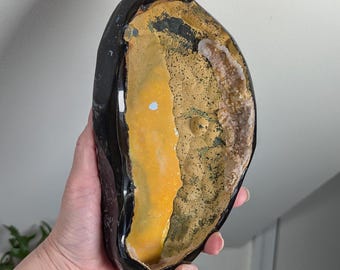 7.75" Botryoidal Agate Display Piece