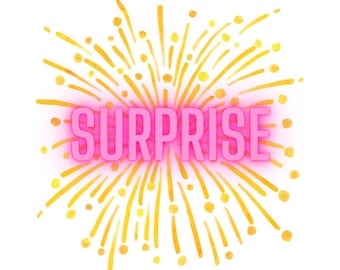 Surprise resin dog pet ID glitter name tag, pet dog cat gift, Christmas gift, Present.