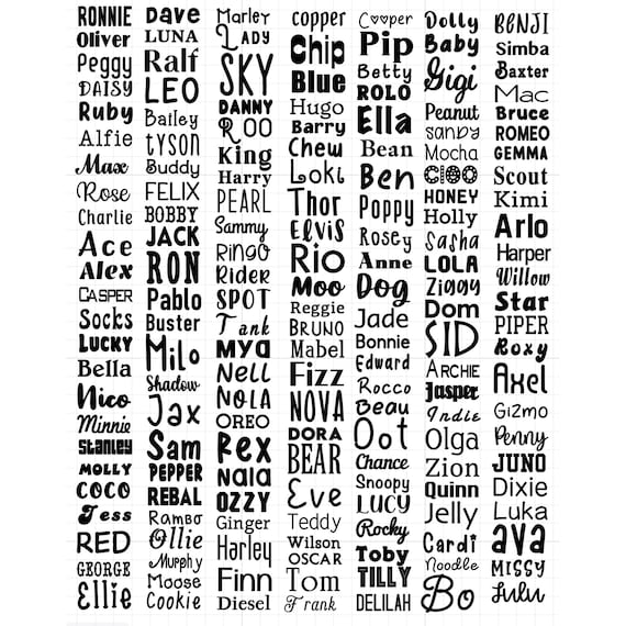 Handmade holographic glitter resin pet dog cat name ID tag