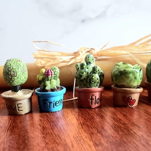 May include: Five small potted plants with different types of greenery. The pots are decorated with the words "Love", "Friend", "Flo", and two hearts.
