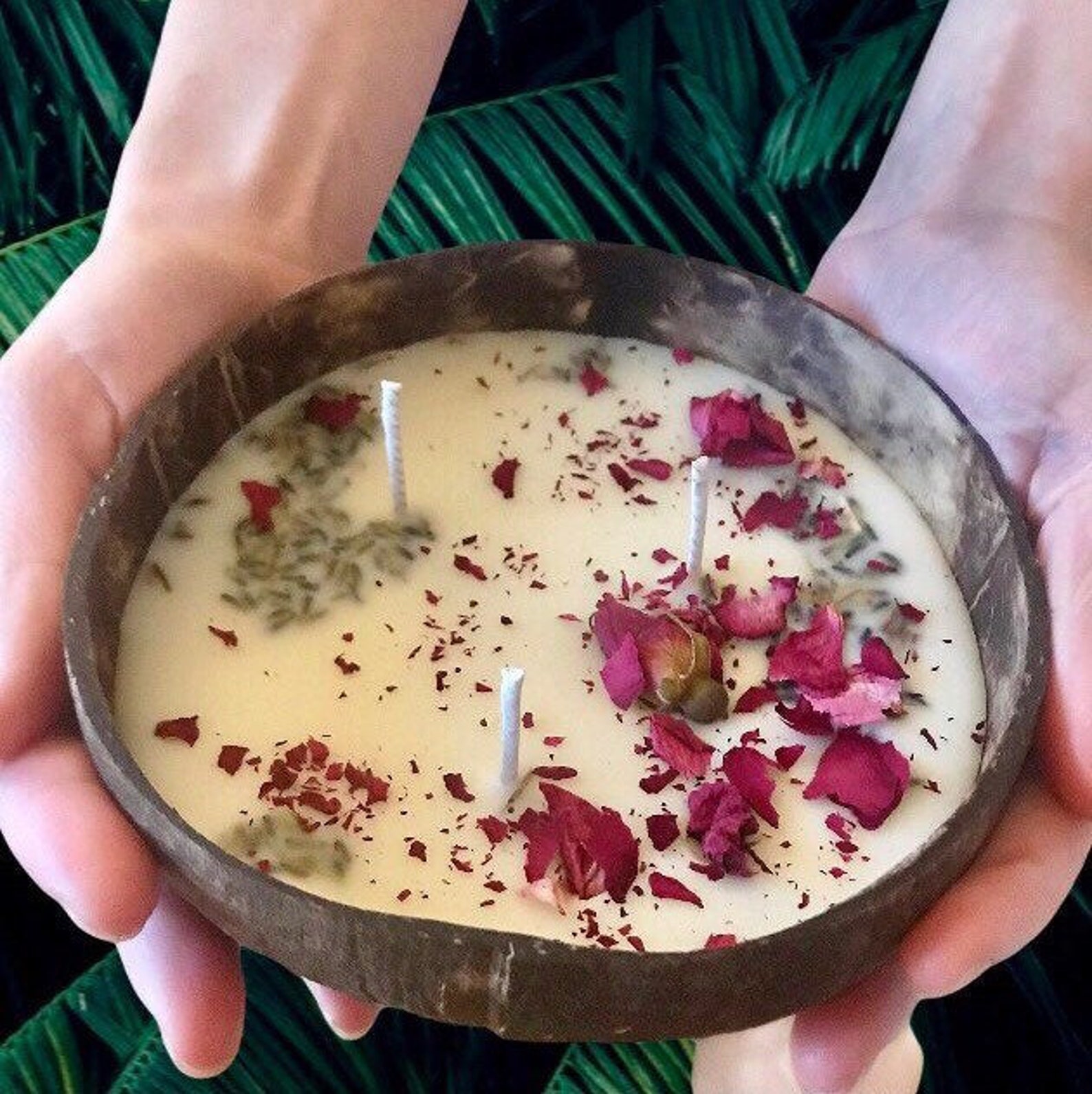 Coconut Shell Candle All Natural Sustainable Lightly Etsy