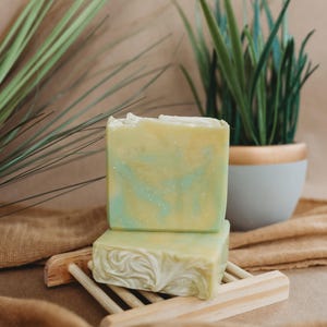 May include: Two bars of handmade soap, one stacked on top of the other, on a wooden soap dish. The top bar has a yellow and blue swirl pattern. The bottom bar has a white, swirled design. Green plants and a decorative pot are in the background.