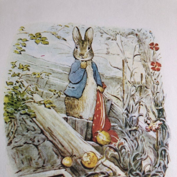 The Tale of Benjamin Bunny 55 PAGES ONLY; Vintage Beatrix Potter Illustrations; Junk Journal Paper; Book Pages; Craft Supplies;Nursery Decor