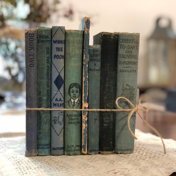 Vintage Blue and Green Farmhouse Book Bundle, Rustic, Shabby, Tattered, Turquoise, Aqua, Teal, Cottage,  Blue, Chippy Decorative Books,