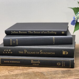 Pu&ograve; includere: Una pila di quattro libri con copertina rigida di colore grigio scuro. I titoli e gli autori sono stampati in lettere dorate. I libri sono "Julian Barnes The Sense of an Ending", "Terror in Berlin", "The Pillars of Solomon" e "Booth A Novel".
