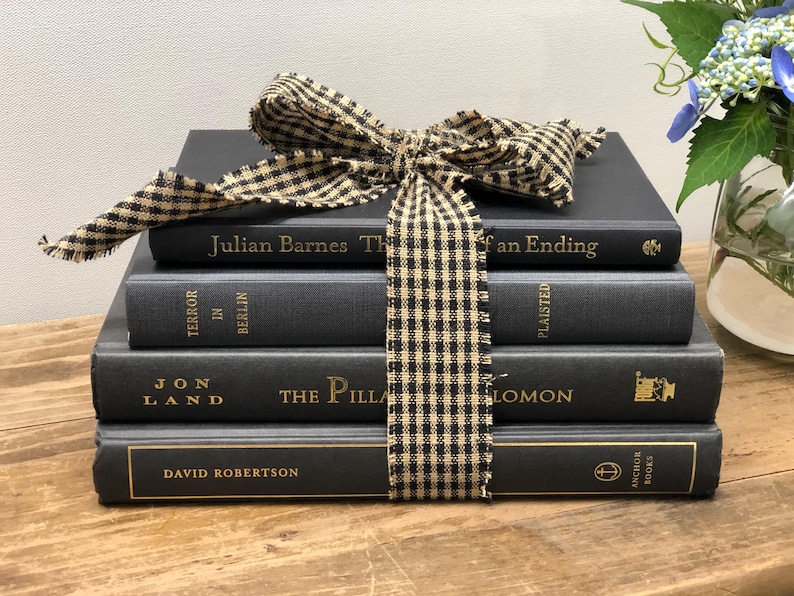 Pu&ograve; includere: Una pila di quattro libri grigio scuro legati con un nastro a scacchi bianco e nero. I titoli dei libri includono "Julian Barnes The", "Terror in Berlin", "Jon Land The Pilla" e "David Robertson". Un vaso di fiori blu &egrave; sullo sfondo.
